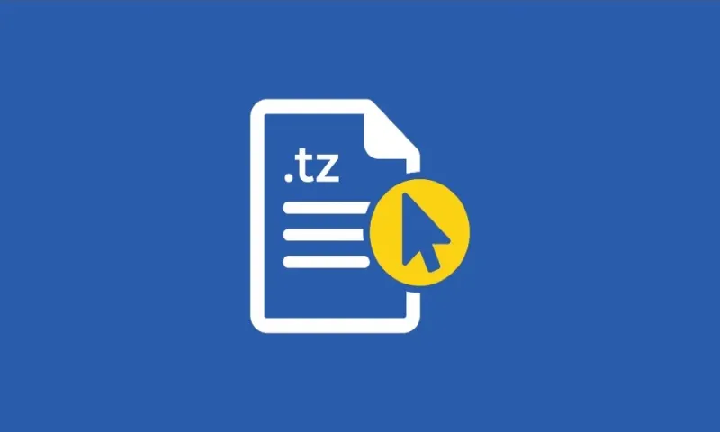 Report on .tz Country Code Top Level Domain Management and Related Issues